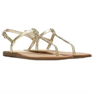 Circus by Sam Edelman "Like New"Corinne T strap flats Sandals shoes sz 8M